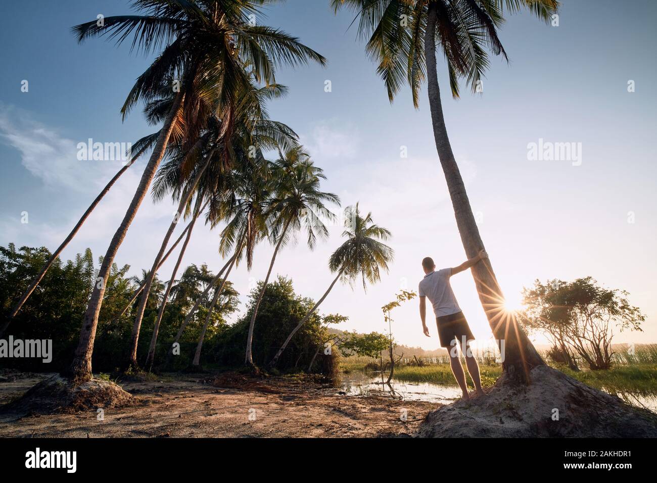 Young man standing under palm tree and watching sunset, Sri Lanka. Stock Photo