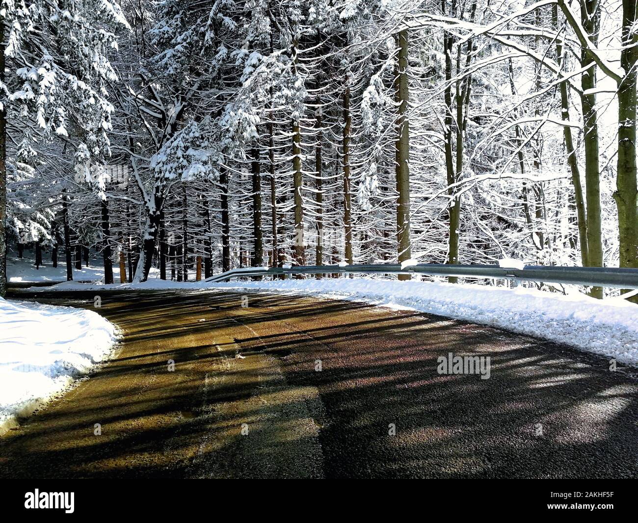 winter road , trees under snow during the winter frost Stock Photo