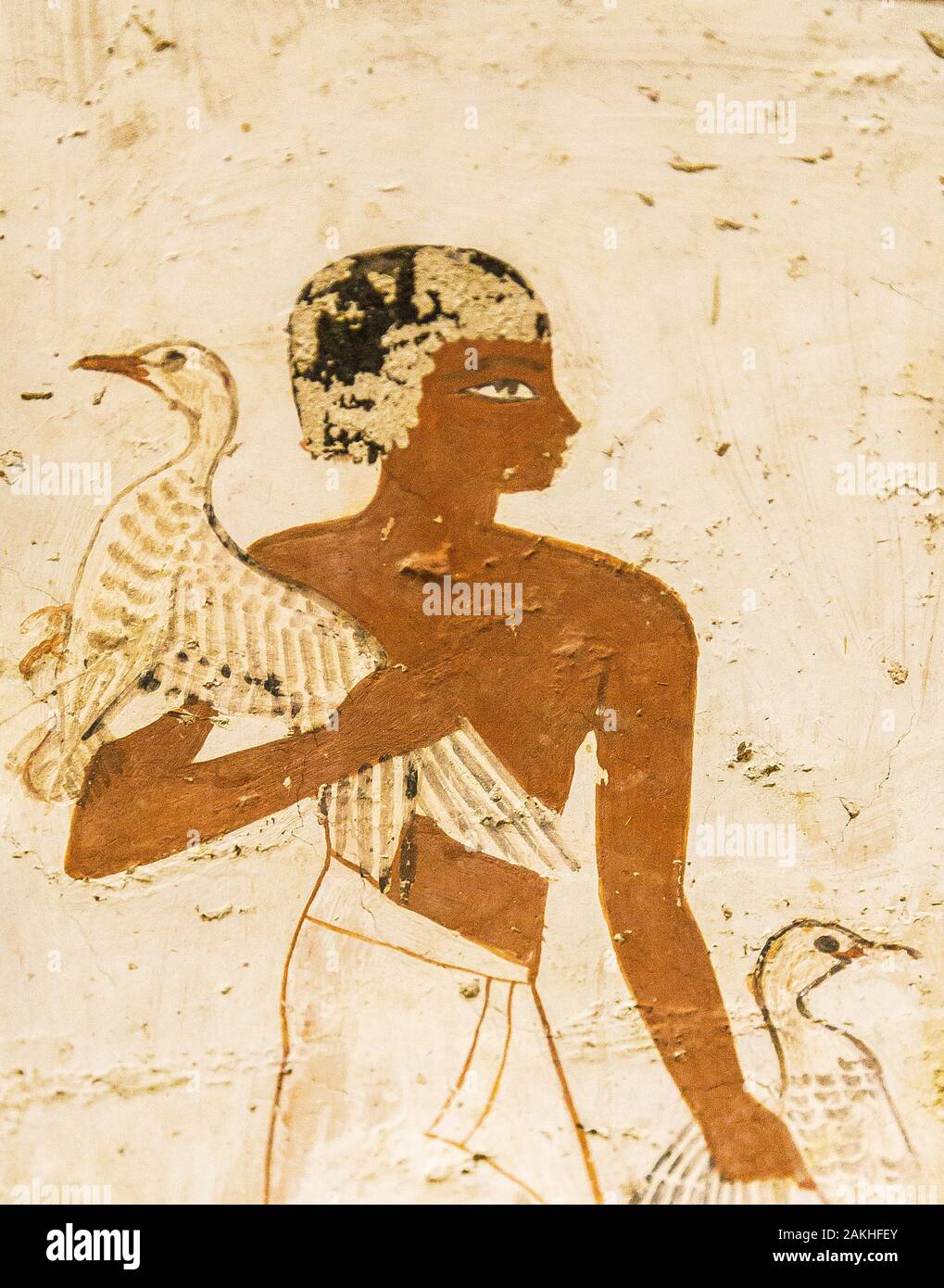 UNESCO World Heritage, Thebes in Egypt, Valley of the Nobles, tomb of Menna. Offering-bringer with ducks. Stock Photo