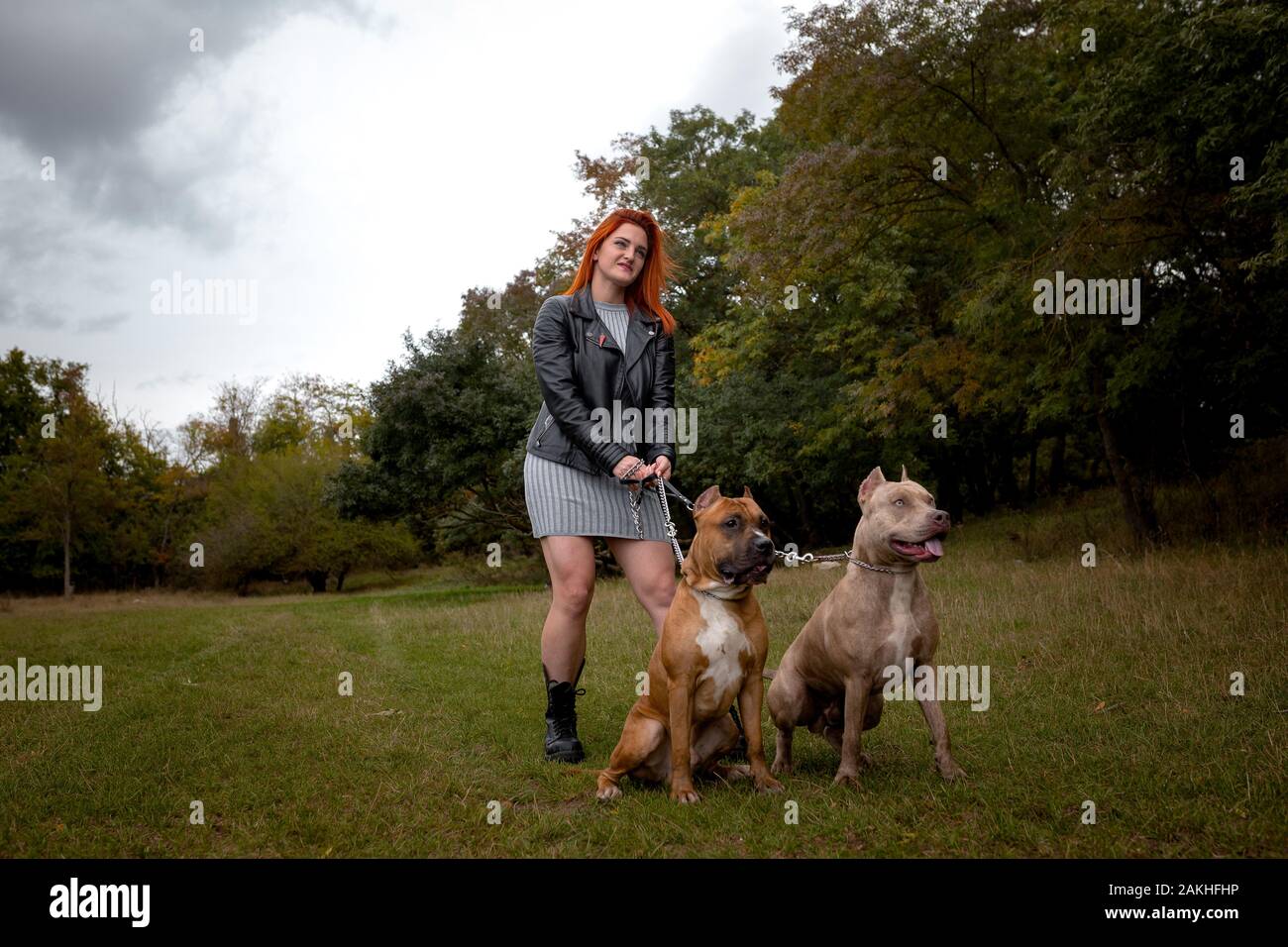 https www alamy com beautiful young woman in a leather jacket and heavy boots strolling with two american staffordshire pit bulls in strict collars strong woman holds do image339060898 html