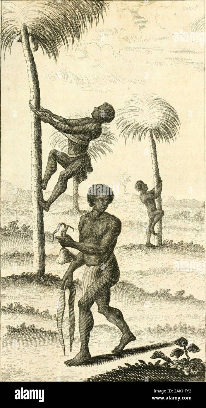 Travels into the inland parts of Africa: containing a description of the several nations for the space of six hundred miles up the River Gambia; their trade, habits, customs, language, manners, religion and government; the power, disposition and characters of some negro princes; with a particular account of Job Ben SolomonTo which is added, CaptStibbs's voyage up the Gambia in the year 1723, to make discoveries; with an accurate map of that river taken on the spot: and many other copper platesAlso extracts from the Nubian's geography, Leo the African, and other authors antient and modern, conc Stock Photo