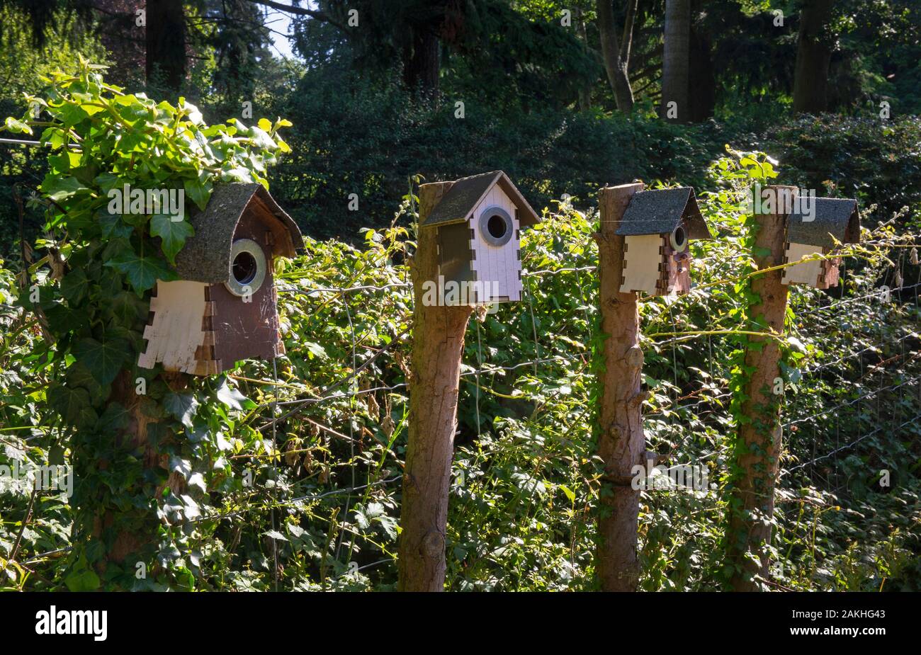 Line of wooden bird boxes in english garden,England Stock Photo