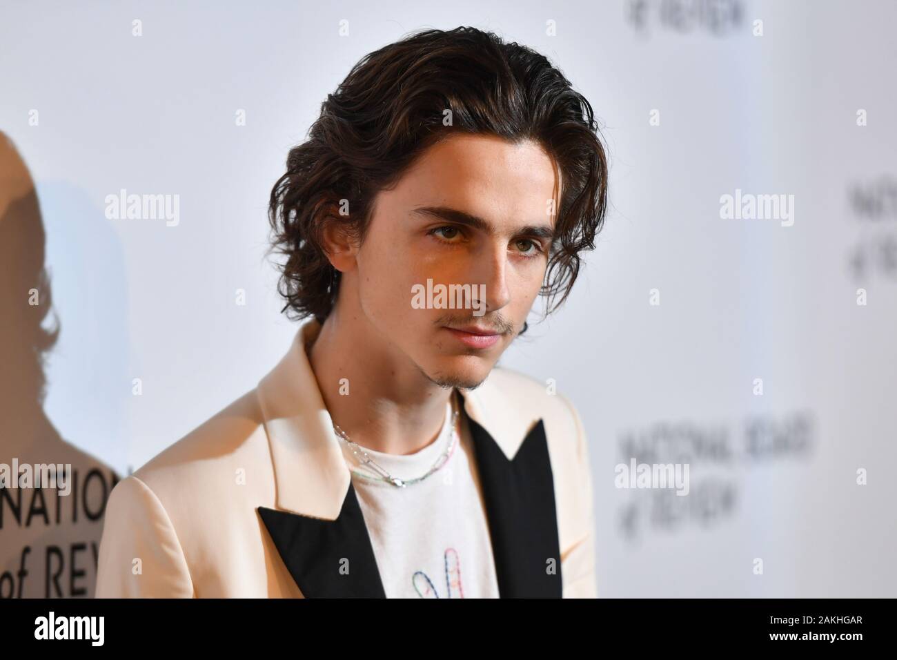 Timothee Chalamet attends the 2020 National Board Of Review Gala on January 08, 2020 in New York City. Stock Photo