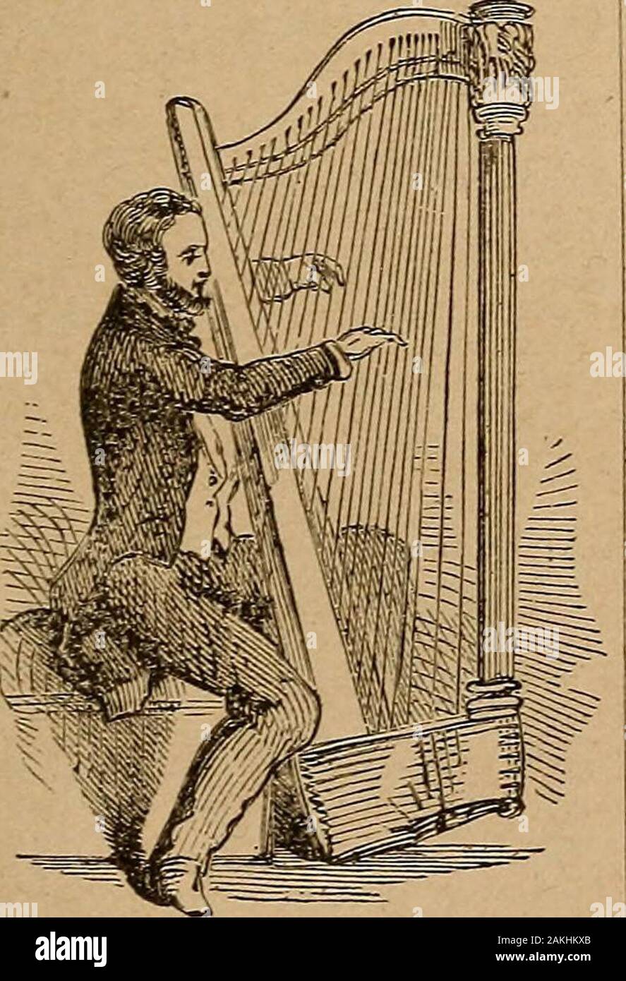 Abarbed hires stock photography and images Alamy