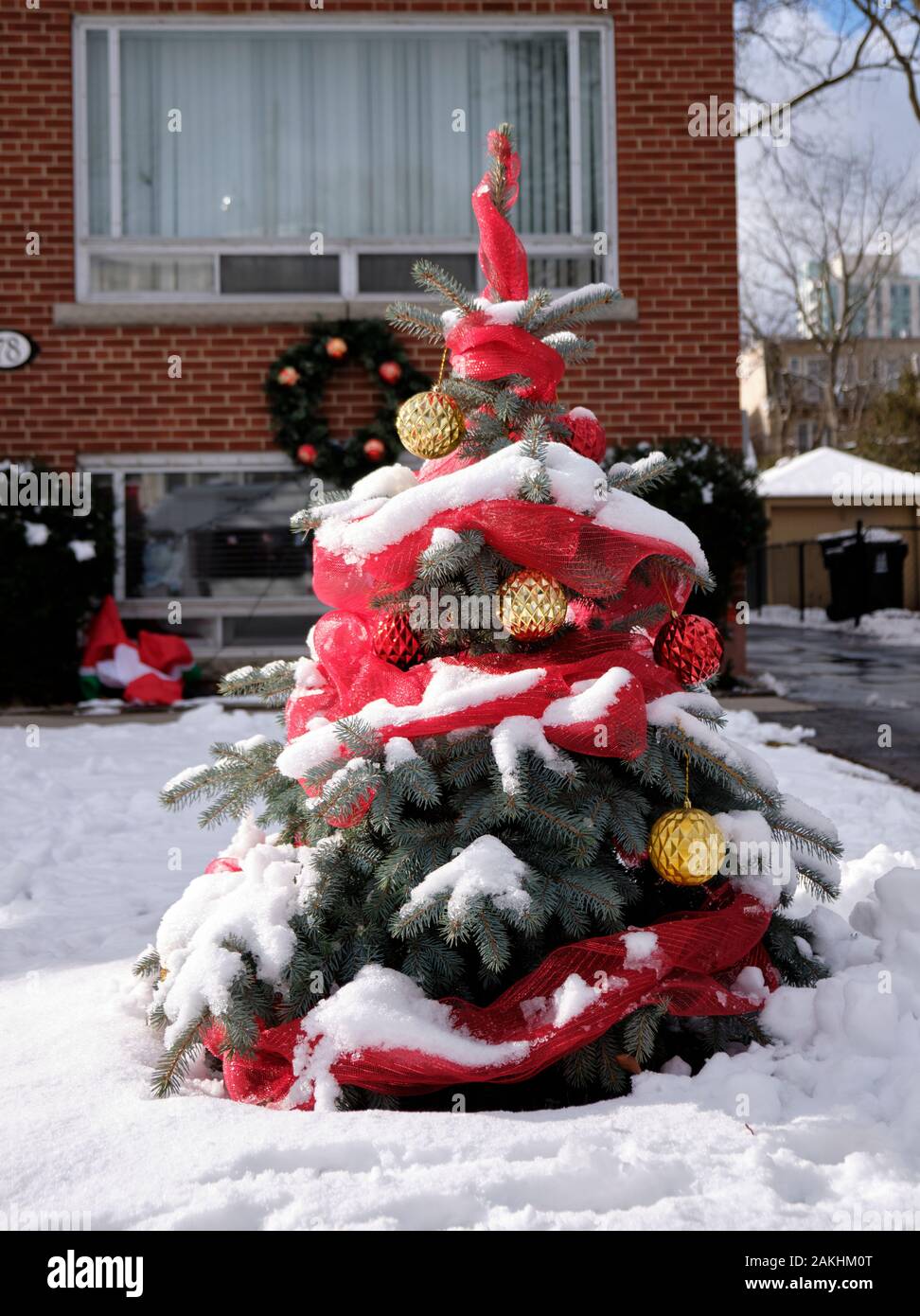 Outdoor Christmas tree decorated with garlands and balls covered in fresh white snow in front of residence Stock Photo
