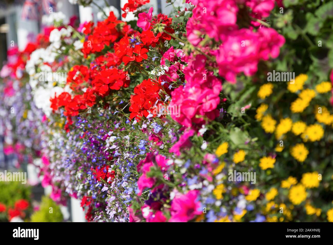 Colourful window boxes full of summer bedding plants outside a pub in