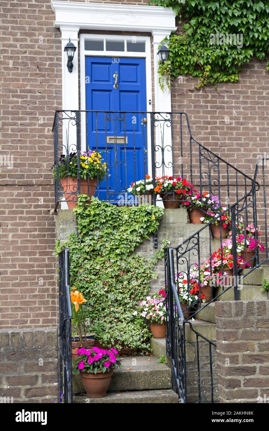 Colourful flowerpots up the steps to a house with a blue door. Stock Photo