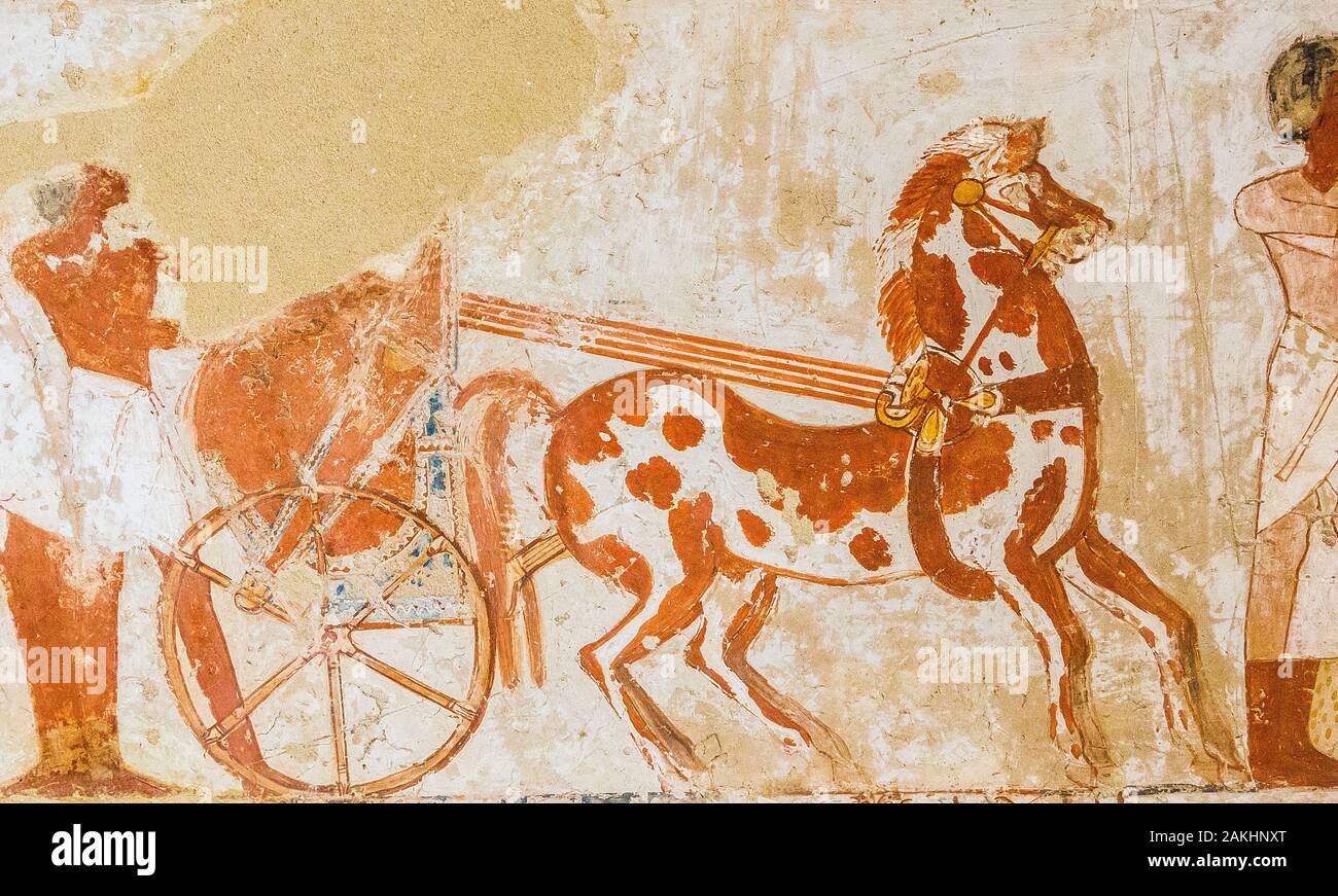 UNESCO World Heritage, Thebes in Egypt, Valley of the Nobles, tomb of Menna. The chariot of the Master. Stock Photo