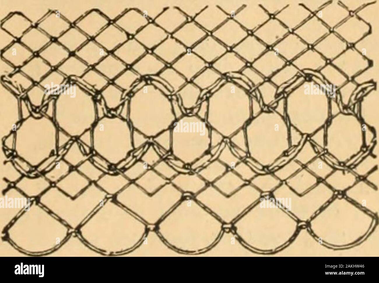 Netted stitch hi-res stock photography and images - Alamy