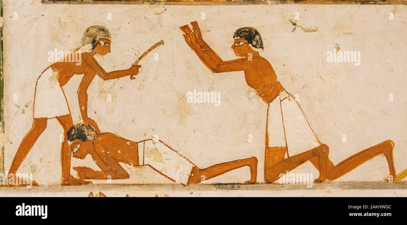 UNESCO World Heritage, Thebes in Egypt, Valley of the Nobles, tomb of Menna. Caning. Stock Photo