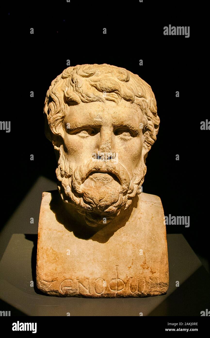 Egypt, Alexandria, Bibliotheca Alexandrina, Archeological Museum, bust