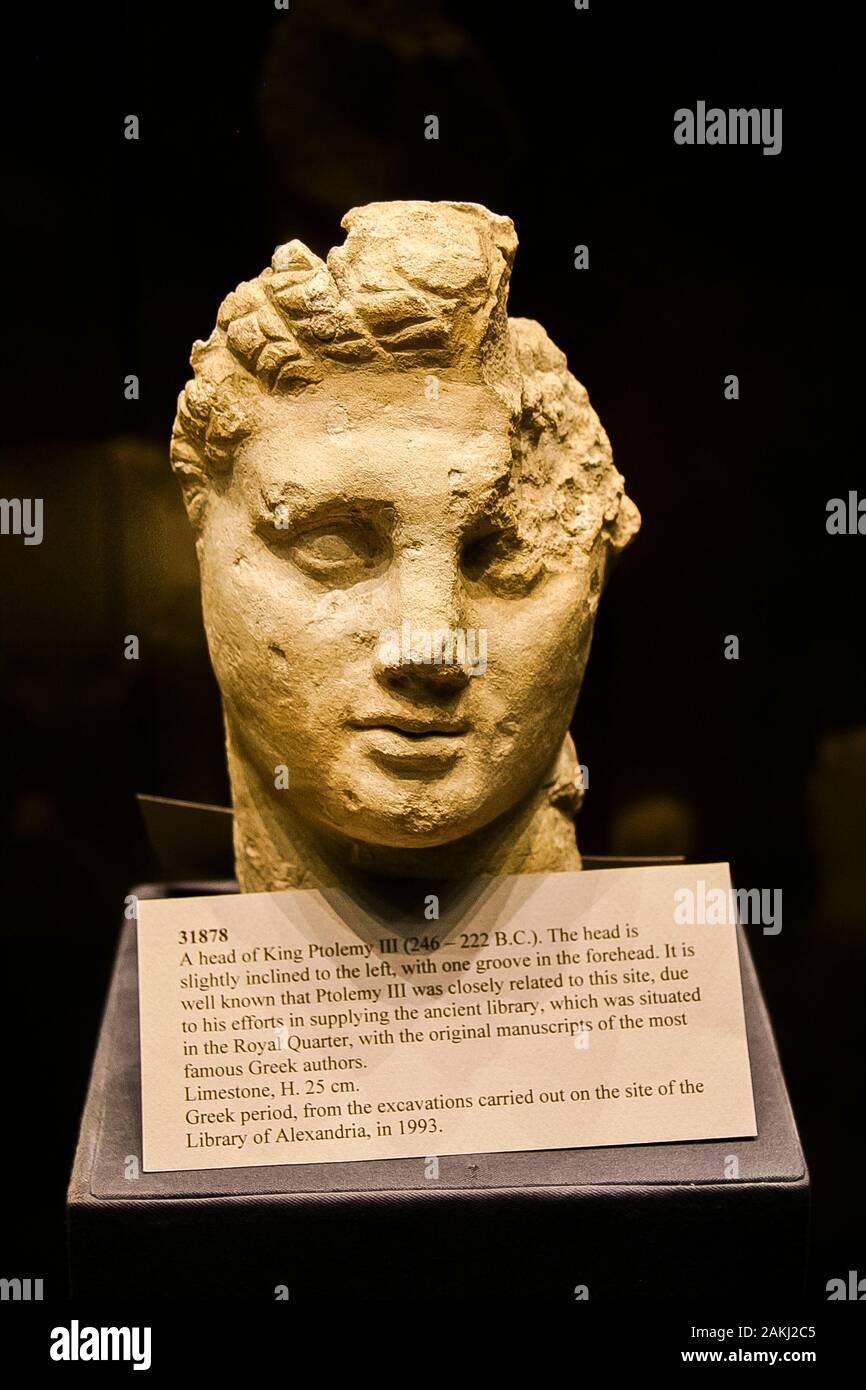 Egypt, Alexandria, Bibliotheca Alexandrina, Archeological Museum, head of Ptolemy III, found during the excavations of the site of the Library. Stock Photo