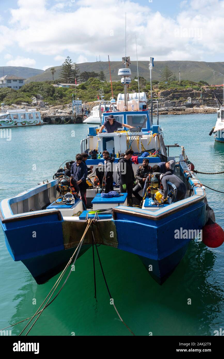 Hermanus, Western cape, South Africa. December 2019. Professional divers training course, students working at the New Harbour in Hermanus. Stock Photo
