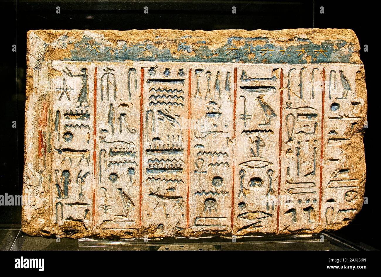 Egypt, Alexandria, Bibliotheca Alexandrina, Archeological Museum, part of a stela dedicated to Amon. Sunk relief, New Kingdom, limestone. Stock Photo