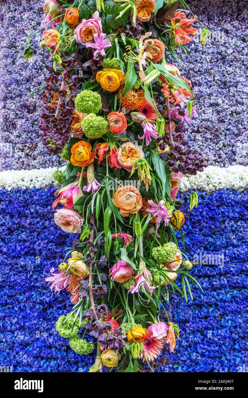 HAARLEM, THE NETHERLANDS - APRIL 14  , 2019: The Flower parade, Bloemencorso in Dutch, is an annual, colorful feast of beautiful flowers. The route is Stock Photo