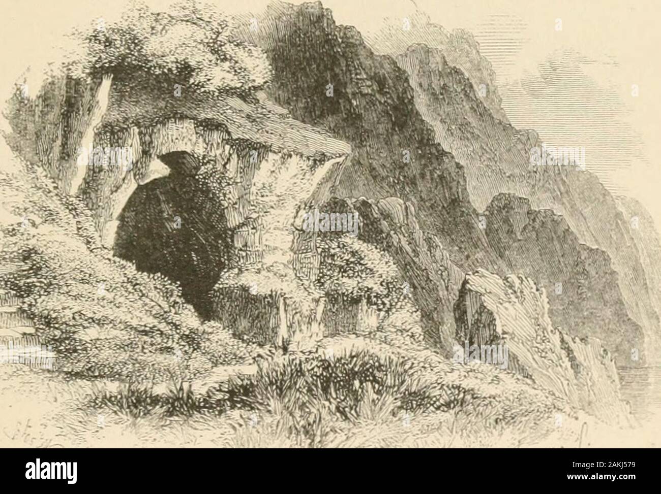 The lord of the isles . north-wast from the ile of Coll, lyes ane ile i allilRonin Tie, of sixteen myle long, and six in bredthe in the narrowest, aneforest of heigh mountains, and abundance of little deir in it, quhilk deir willnever he slane dounewith, hut the principal saittis man be in the height ofthe hill, because die deir will he callit upwarl ay he the tainchell, or withouttyncliel they will pass upwart perforce. In this ile will he gotten aboutBritane als many wild nests upon the plane mure as men pleasis to gadder,and yel bj resson the fowls hes few << start them except deir. Stock Photo