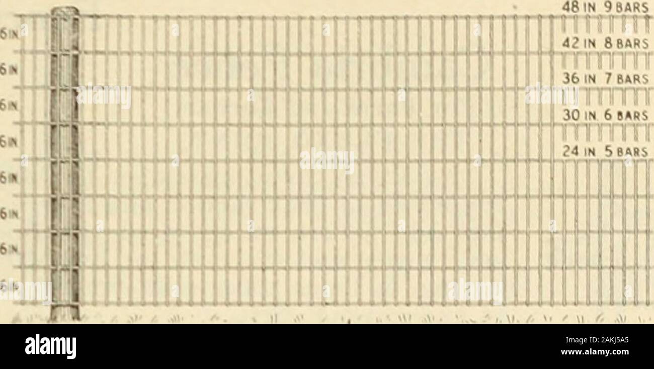 Annual catalogue : machinery, fertilizers, seeds, etc1917 . Horse Shoes and Blacksmith Tools Standard, no better made. Prices on application. New Anchor Nails. 5 pound box $ 65 Russells Nails. 5 pound box .1... 65 Pincers. 12 inch regular steel 65 Pincers. 14 inch Heller Bros. L25 Pincers. 16 inch Heller Bros. 150 Hammers, Heller Bros. steel 12-ounce .75 Hammers, Heller Bros. steel, 17-ounce 75 Rasps, Heller Bros. 14 inch 50 Rasps. Heller Bros. 16 inch [[ *65 Knives, I. X. L., imported 50 Knives, Heller Bros. .50 FENCING Pittsburg Perfect.PLAIN TOP LAWN FENCE. Are made of the best material for Stock Photo