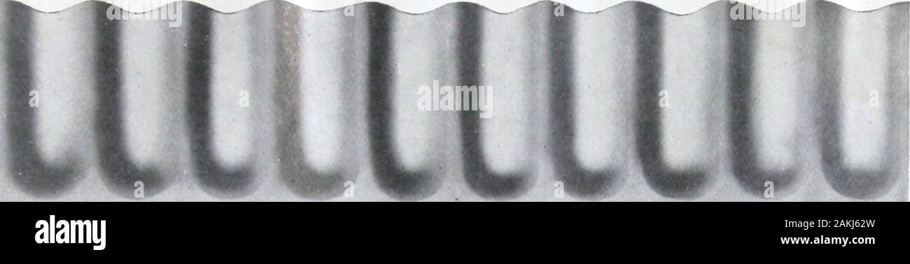 Girth 12 High Resolution Stock Photography And Images Alamy