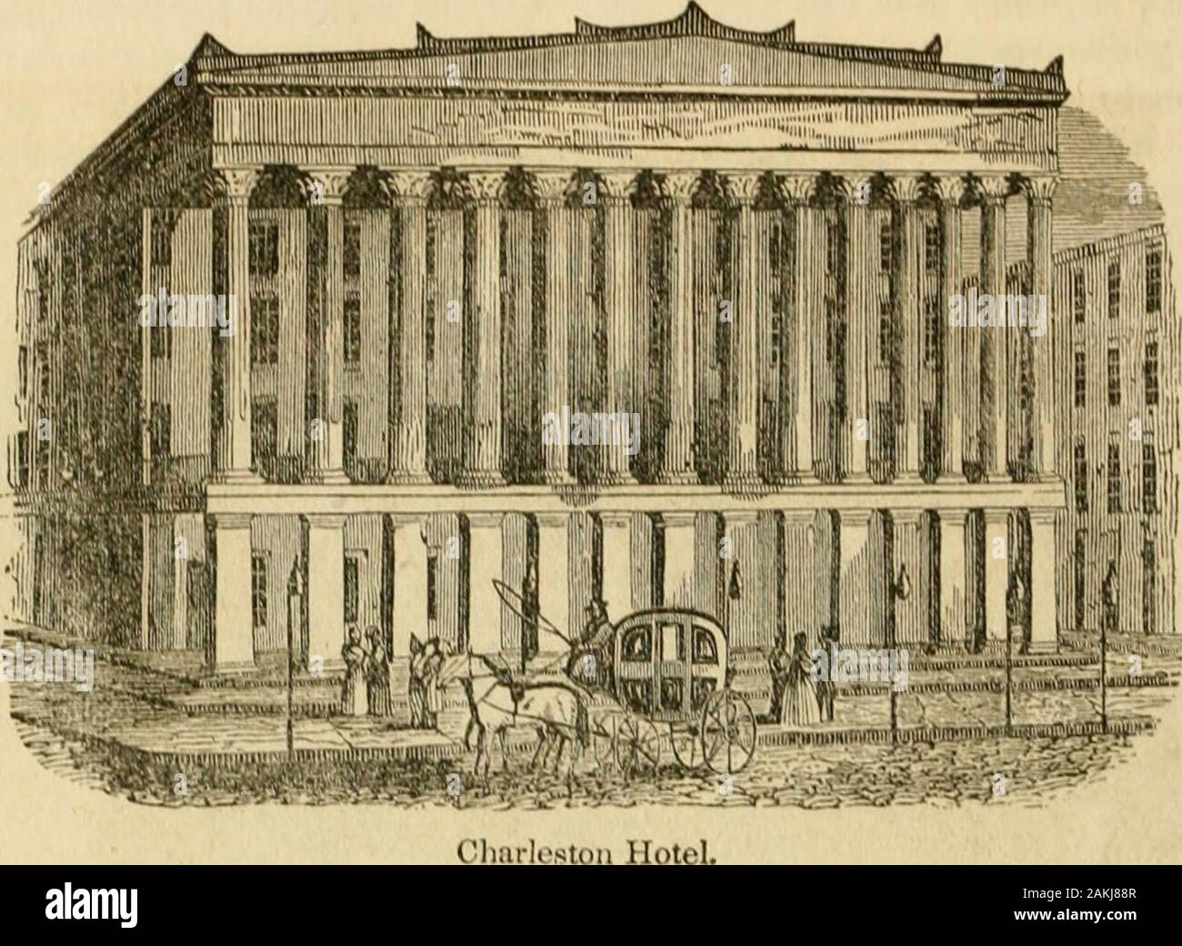 A new and popular Pictorial History of the United States . 376 DESCRIPTION OF THE STATE OP SOUTH CAROLINA.. coiisidorahlo extent of crvound. Theprivate liousos are generally of a plainstyle, bnt many of them are neat andsnbstantial; and the nppearance of thecity is much improved l)y many gardens,in which some of the finest fruits arccultivated, with a success which well re-wards the taste and care of the inhabi-tants. Oranges, figs, pomegranates,grapes, Sec, abound,! with a great vari-ety of fiowers and ornamental shrnlts.Of these a charming display is annuallymade, in the exhibitions of the h Stock Photo