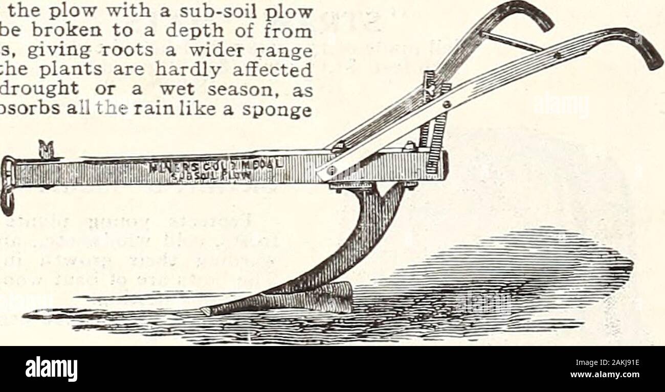 Henderson's wholesale catalogue for market gardeners and florists . c. E Full, two-horse. 8x14 in 35c An Extra Share goes with each plow with solid shares. HENDERSONS GOLD MEDAL SUBSOIL PLOW. By following the plow with a sub-soil plowthe earth can be broken to a depth of from15 to 20 inches, giving roots a wider rangefor food, and the plants are hardly affectedby excessive drought or a wet season, asthe deep soil absorbs all the rain like a spongeand gradu-ally gives offrnoistureduring dry,hot weather.The GoldMedal in-volves newpri n ciplesand accom-plishes thework withoutthrowing any sub-soil Stock Photo