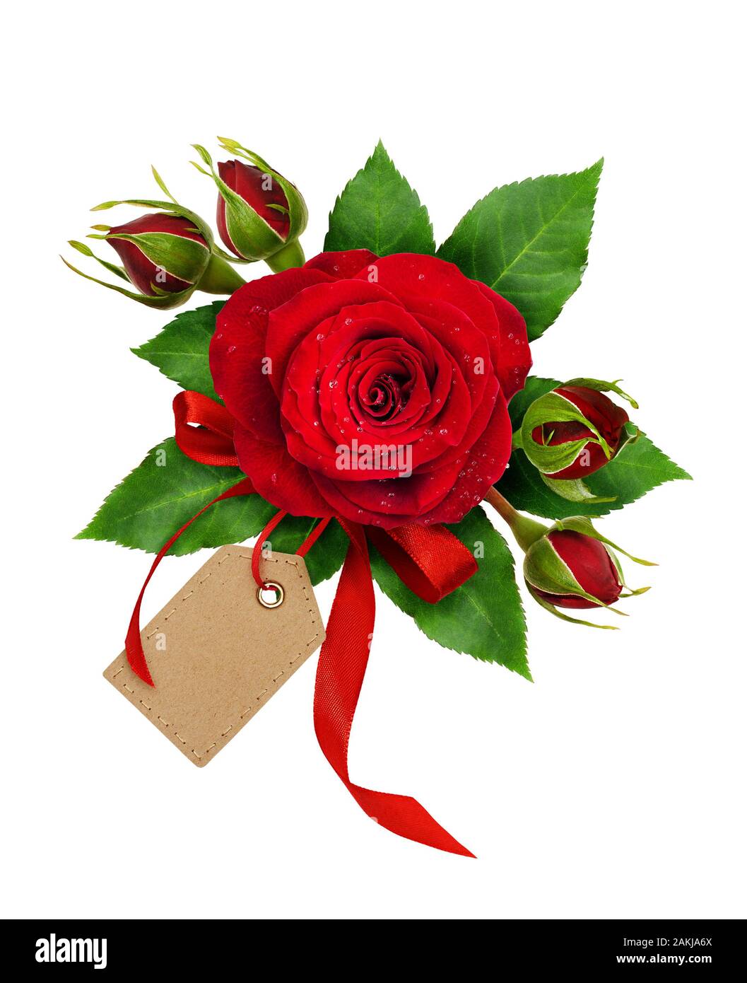 Holiday arrangement with red rose flowers and silk ribbon bow isolated ...