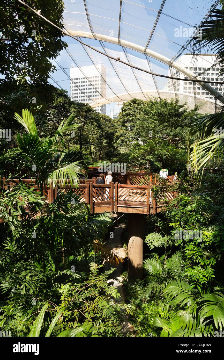 Hong Kong Park; tourists walking in the walk through aviary, Hong Kong Park on Hong Kong Island Hong Kong Stock Photo