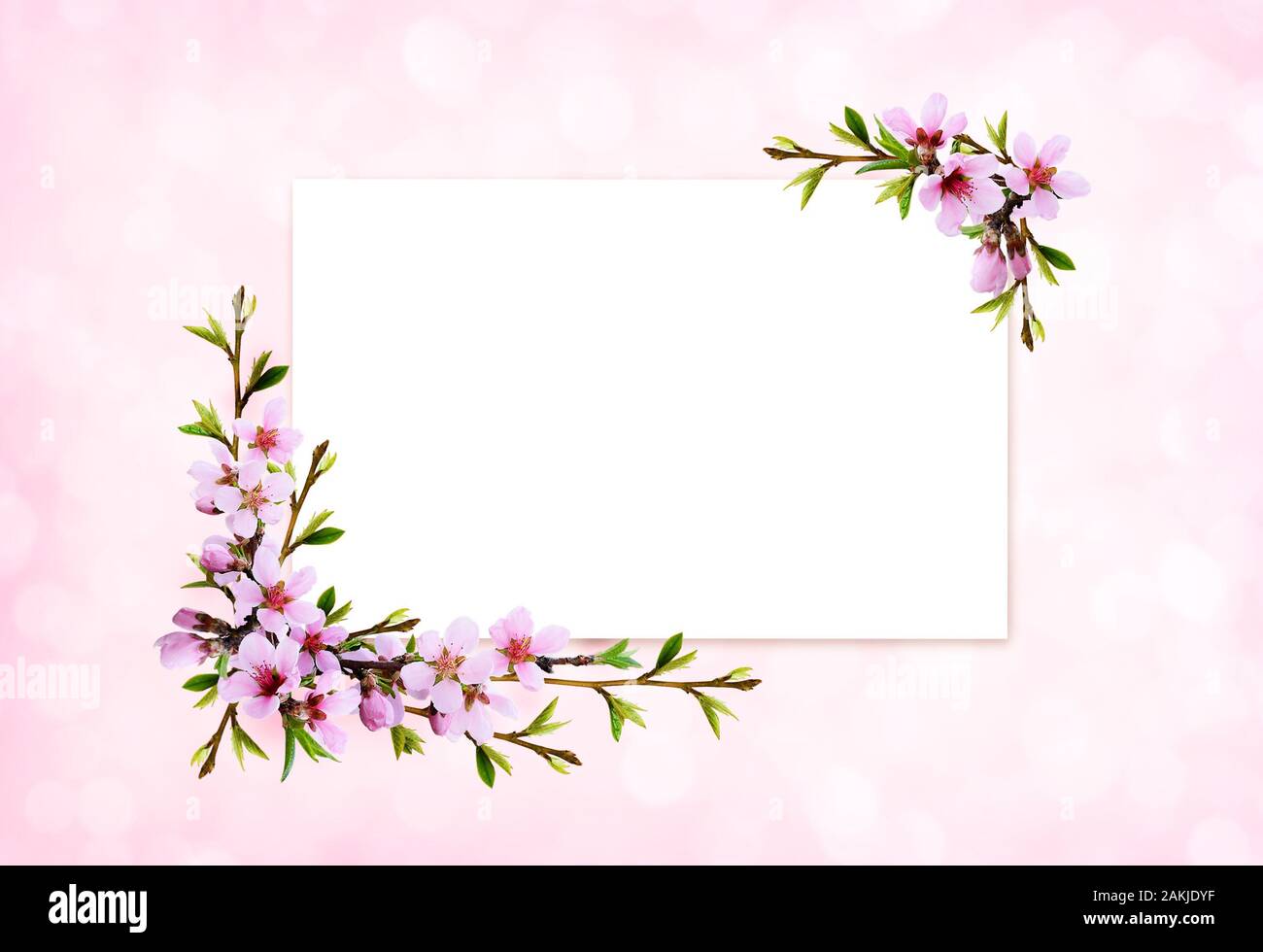 Spring twigs of peach flowers and early leaves in corner arrangements ...