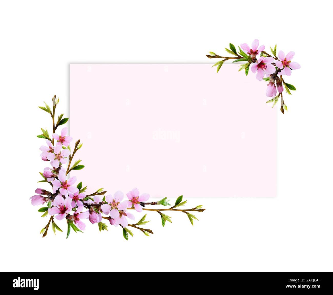 Spring twigs of peach flowers and early leaves in corner arrangements ...
