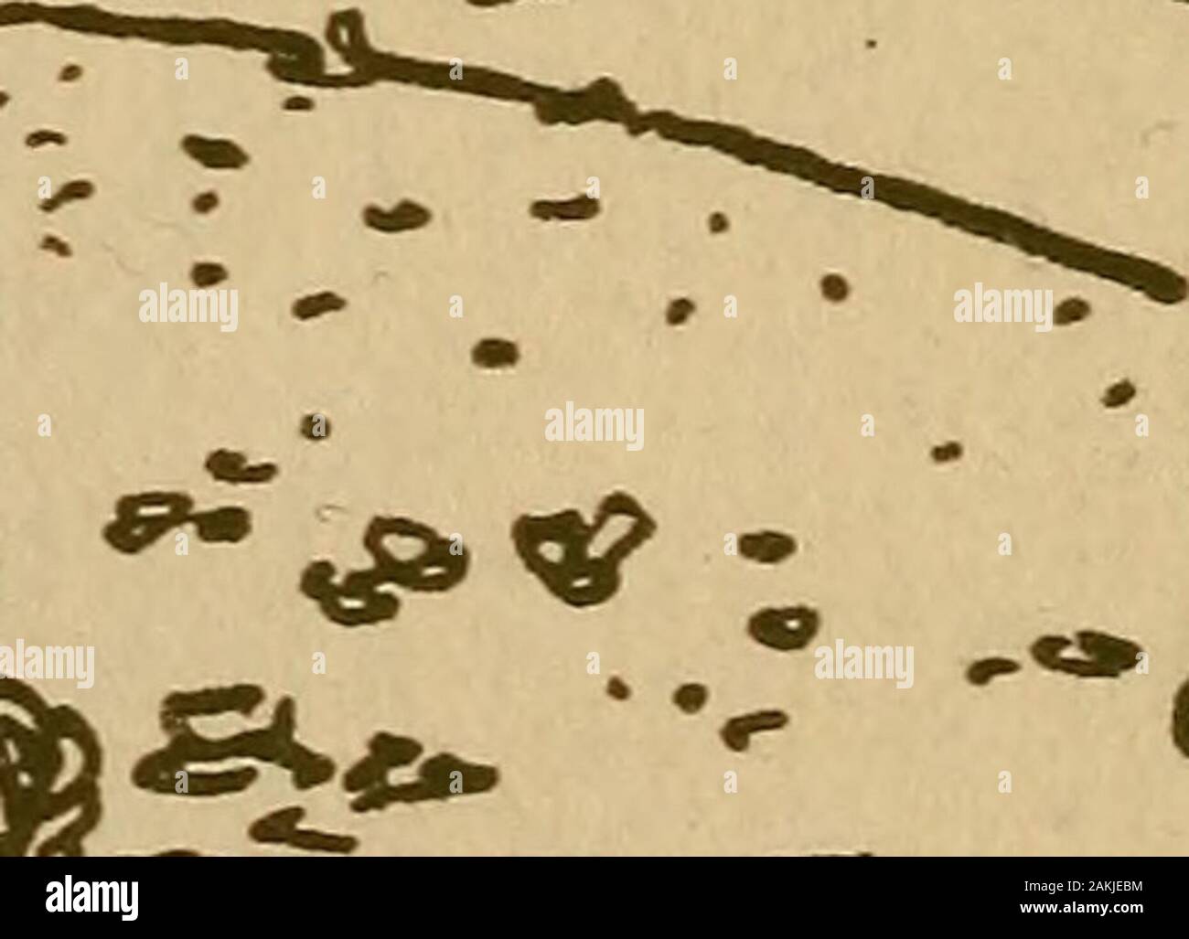 Smk High Resolution Stock Photography And Images Page 6 Alamy