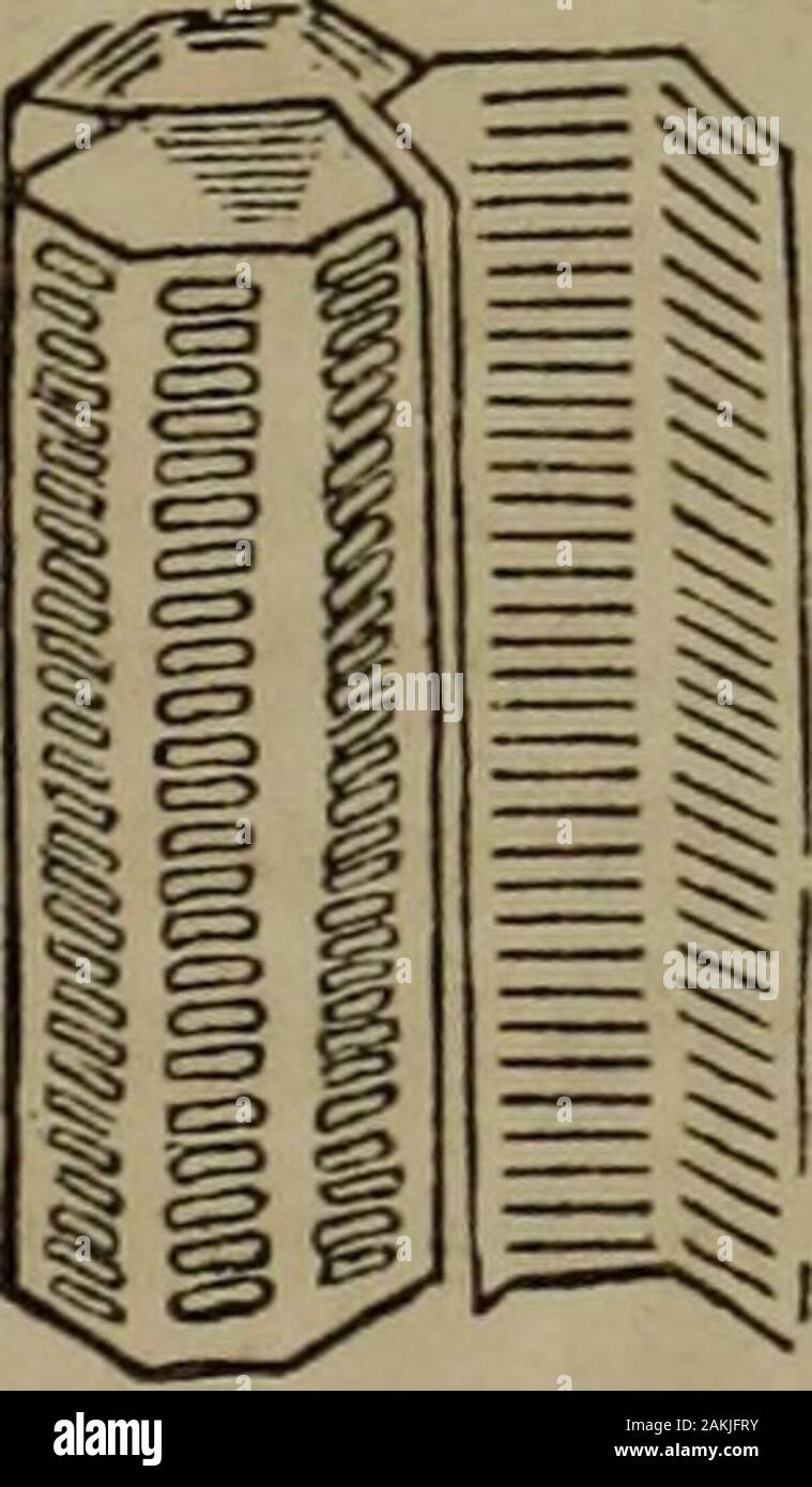 Botany of the Southern states . Scalariform vessels. 80. What are