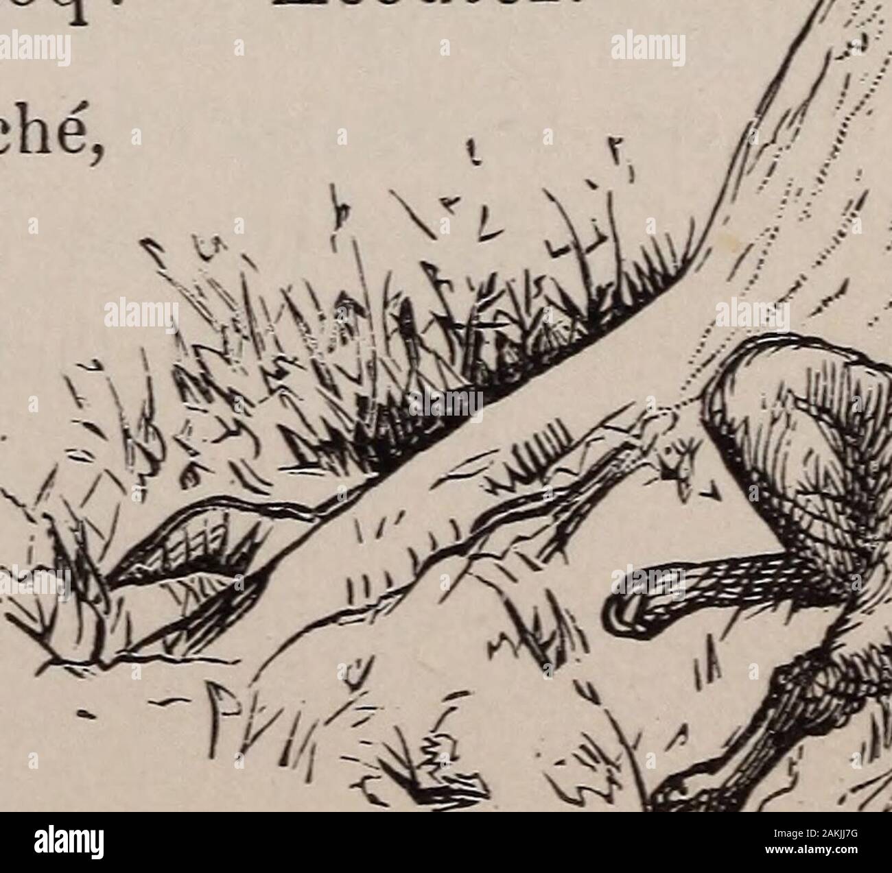 Causeries Avec Mes Eleves Lhomme Sait Il Tout Etl Ieu Dieu Ignore T Il Quelque Chose