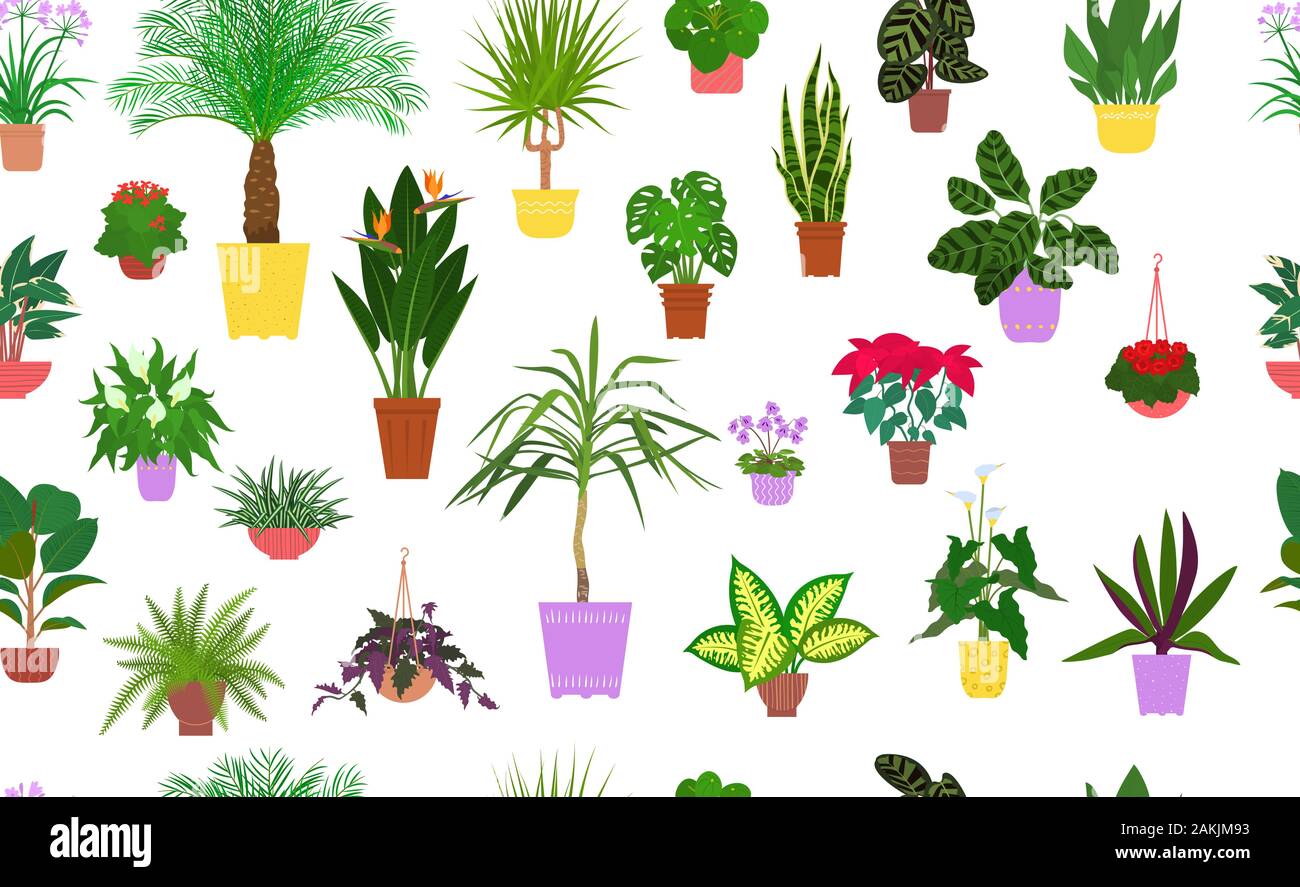 Seamless pattern from different house plants in colorful flower pots. Vector. Stock Vector