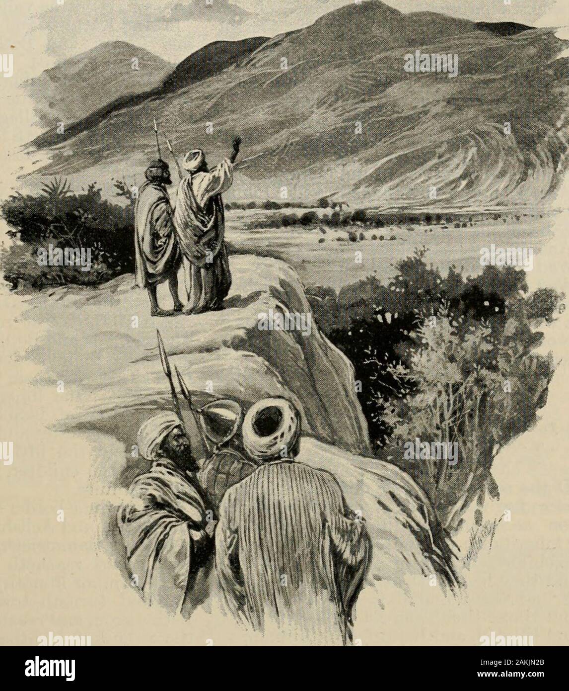 The art Bible, comprising the Old and new Testaments with numerous