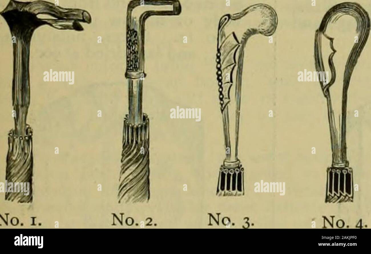 011 High Resolution Stock Photography And Images Page 146 Alamy