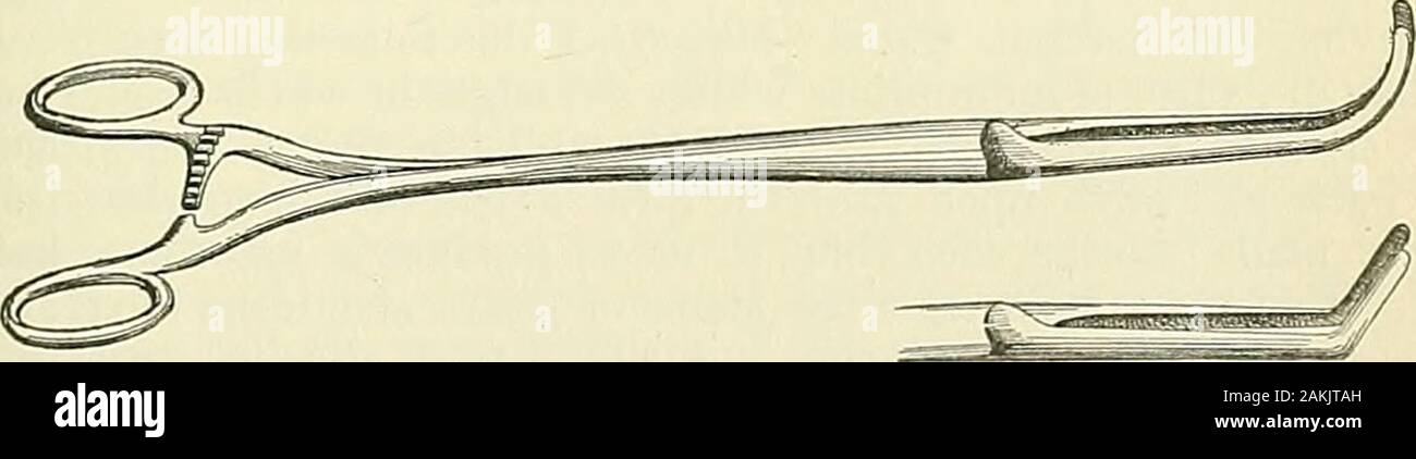 Fig 19 new york hi-res stock photography and images - Alamy