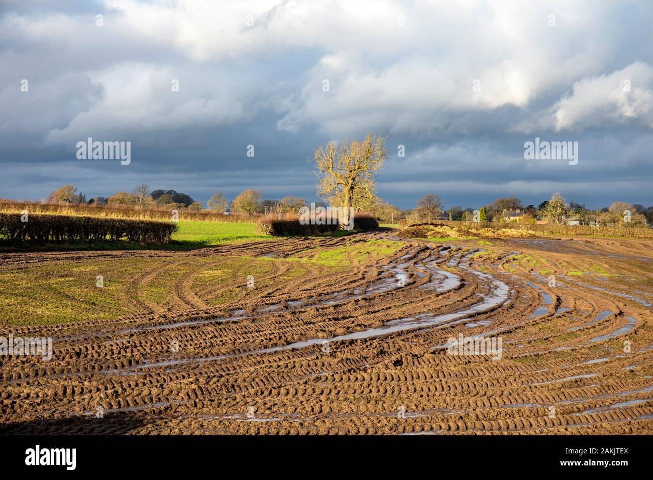 Saturated farm land after prolonged heavy rain with oncoming storm in Cheshire UK Stock Photo