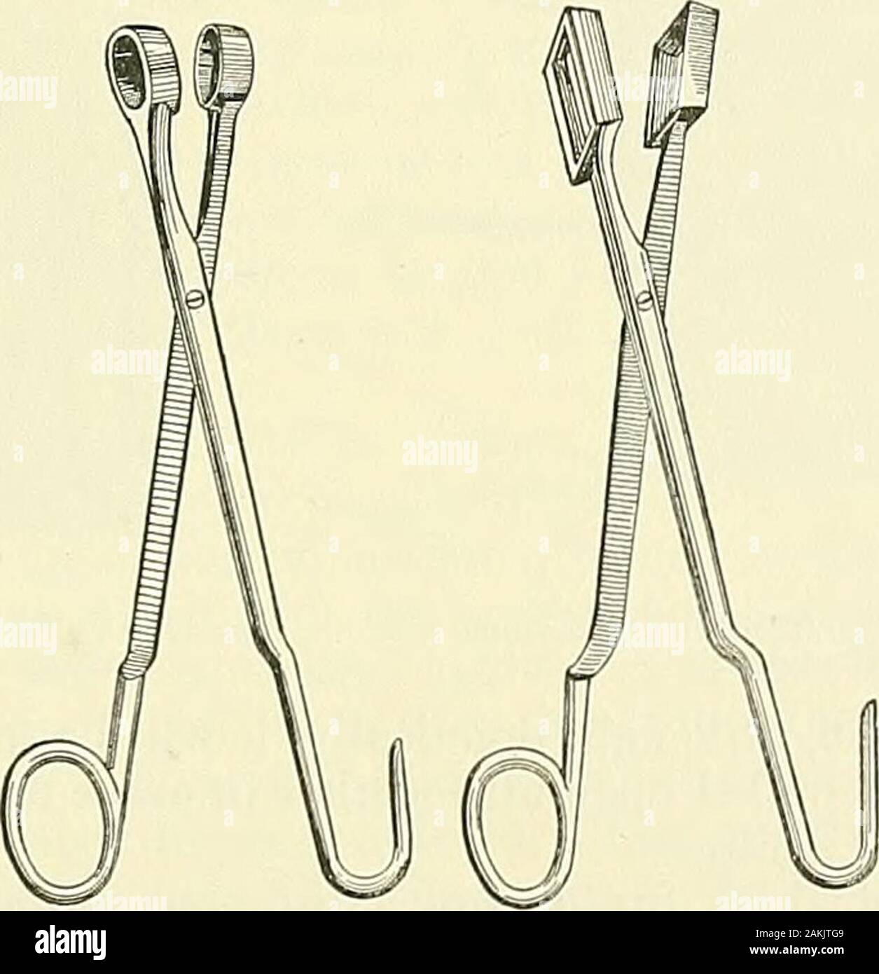 An American text-book of genito-urinary diseases, syphilis and diseases of the skin . Fig. 99.—Watsons scissors-cautery. Some authors prefer the transverse incision above the pubes, dividingthe recti muscles, as advised by Trendelenburg.1 Kiimmel2 sutured thebladder and drained through the perineum with a Nelaton catheter. For. Fig. 100.—Prostate-scissors (Jessop). the cases in which the obstruction at the neck of the bladder is dense, Keyes3accomplishes its thorough removal by means of the rongeur, thus solving Stock Photo