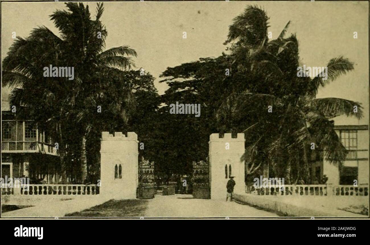 With Pencil And Pen Trees And I Cant The Boys Could Play Balland Climb Fences And I Cant The Boys Can Eatapples And Oranges And I Eat Worms They Seethe Pretty