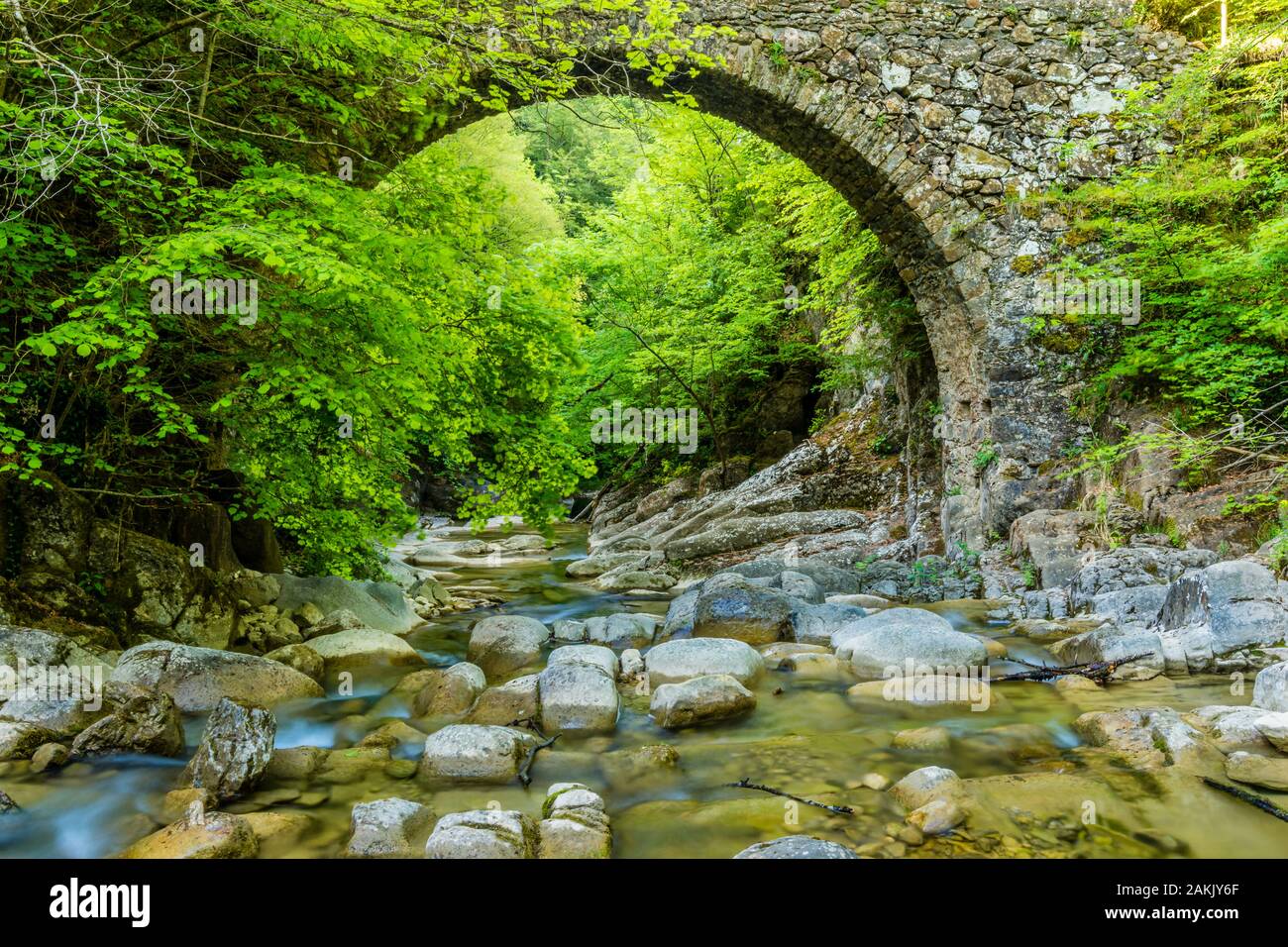 Antique bridge made of stone (Catalonia, Spain) Stock Photo