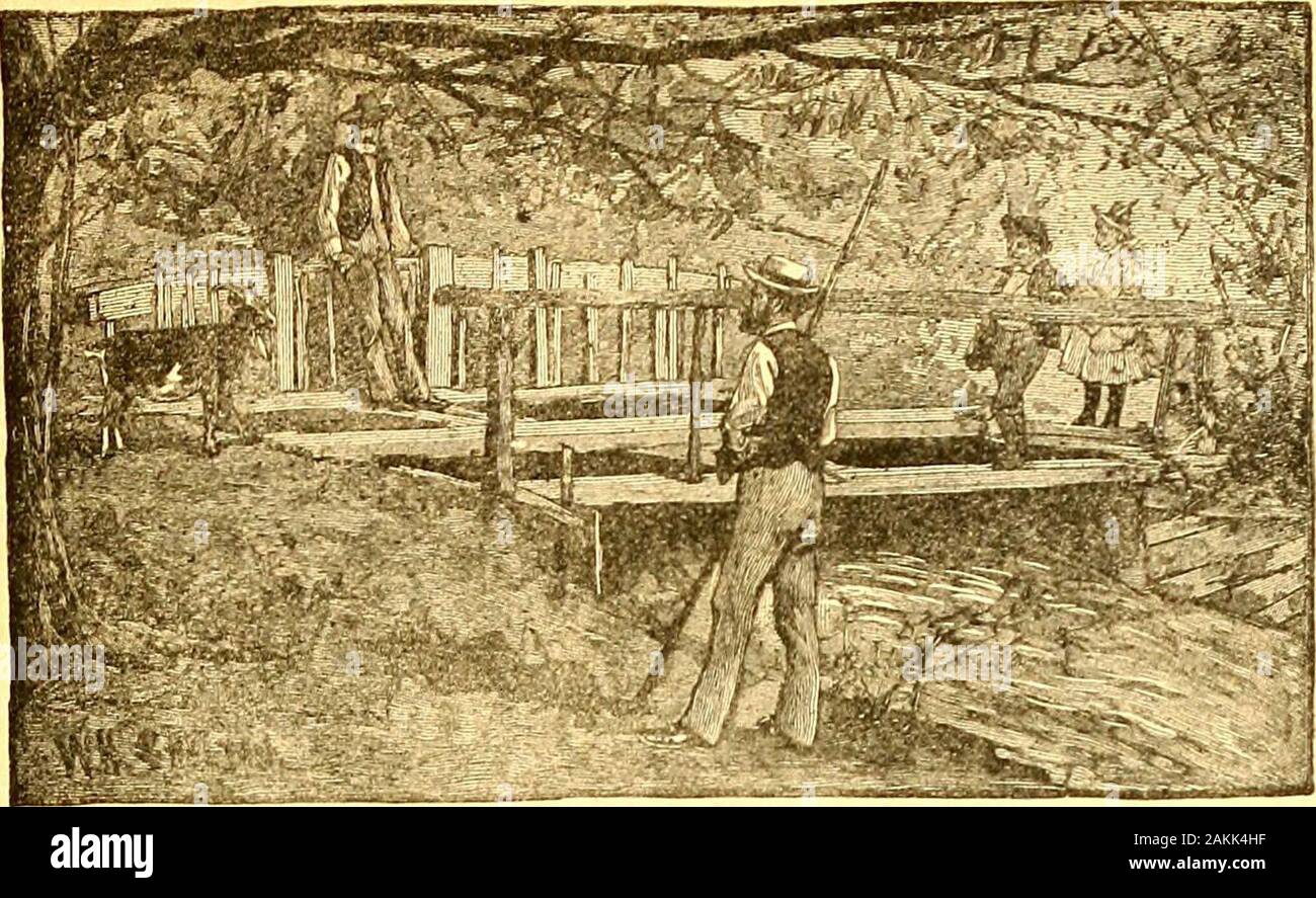 The Surprising Adventures Of Cinderella Or The History Of A Glass Slipper Of Yours Mine Is What Uncle Roy Calls A Turkey For One Laughedlura She Turned In Her Chair Towards alamy