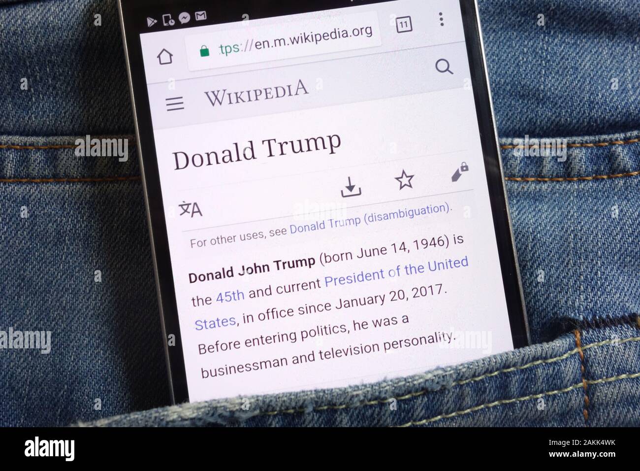 Informations about Donald Trump on Wikipedia website displayed on smartphone hidden in jeans pocket Stock Photo