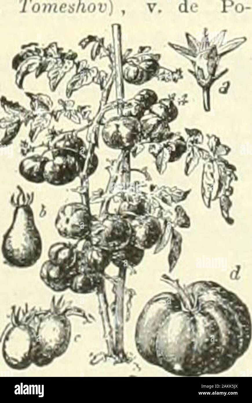 Larousse universel en 2 volumes; nouveau dictionnaire encyclopédique