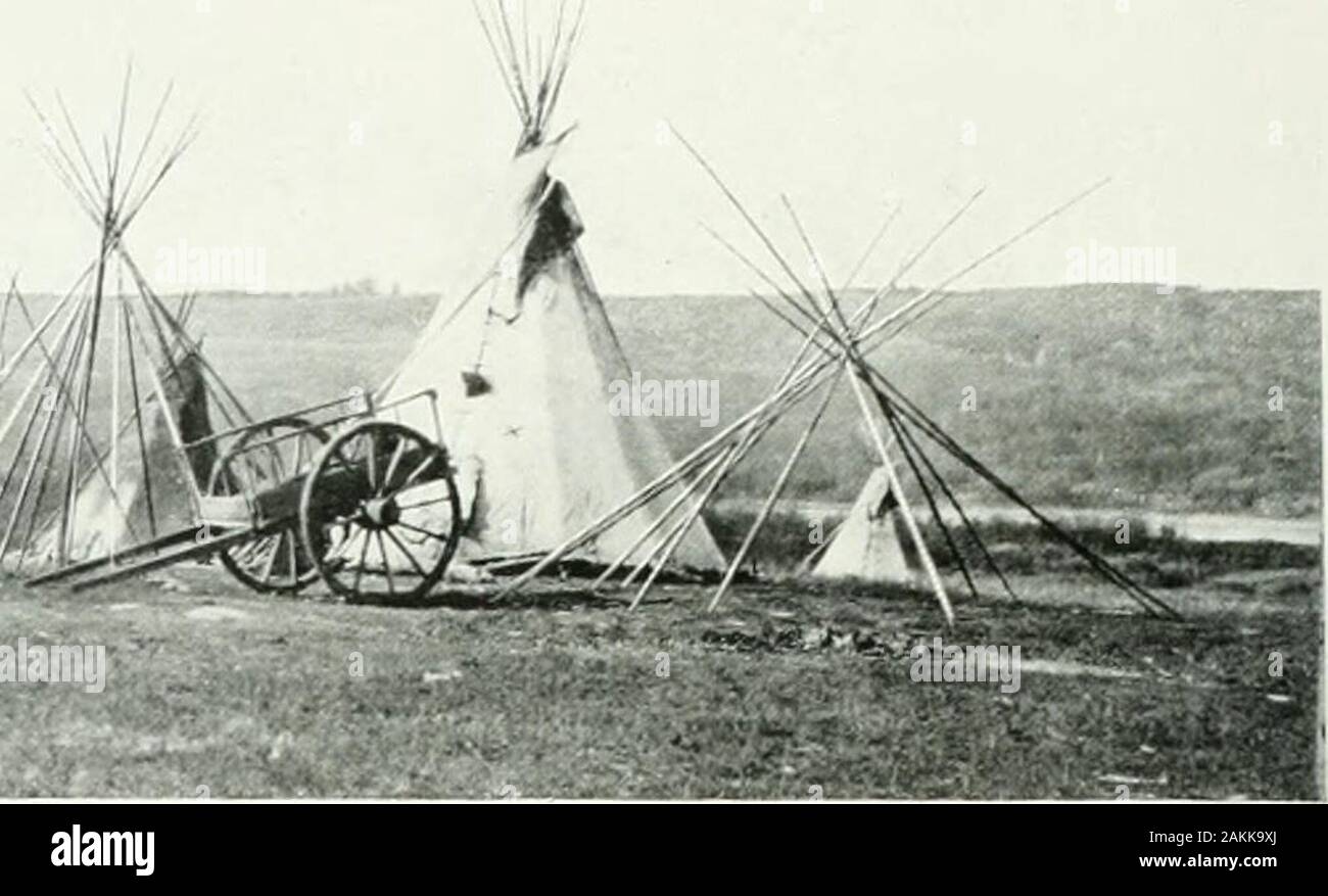 The Prairie Provinces of Canada : their history, people, commerce, industries, and resources . !??. AN INDIAN CAMP. INDIAN TRIBES AND CUSTOMS By Dr. EDWARD SAPIR, Head of the Division of Anthropology, Ottawa Stock Photo