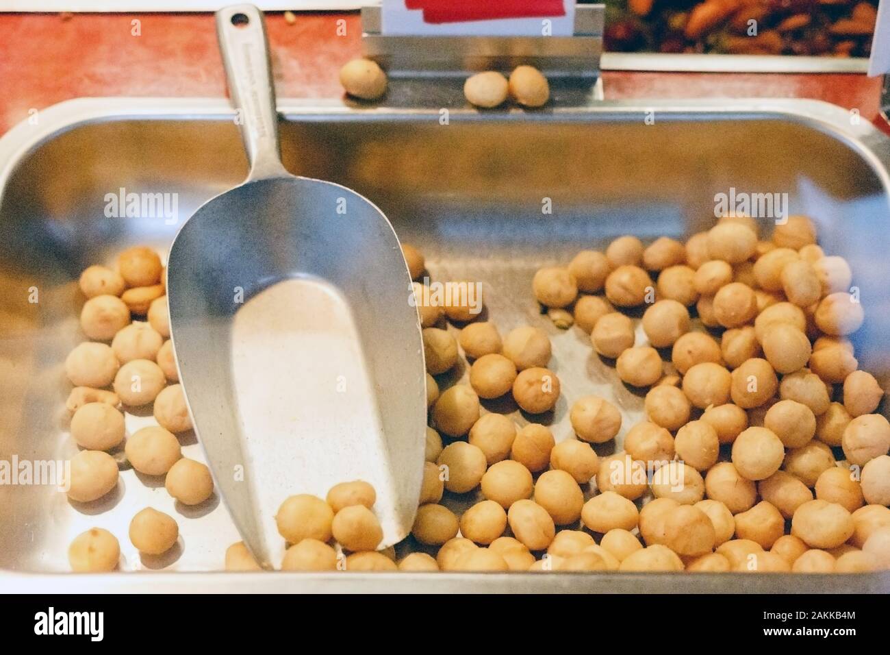Macadamia nut tree hires stock photography and images Alamy