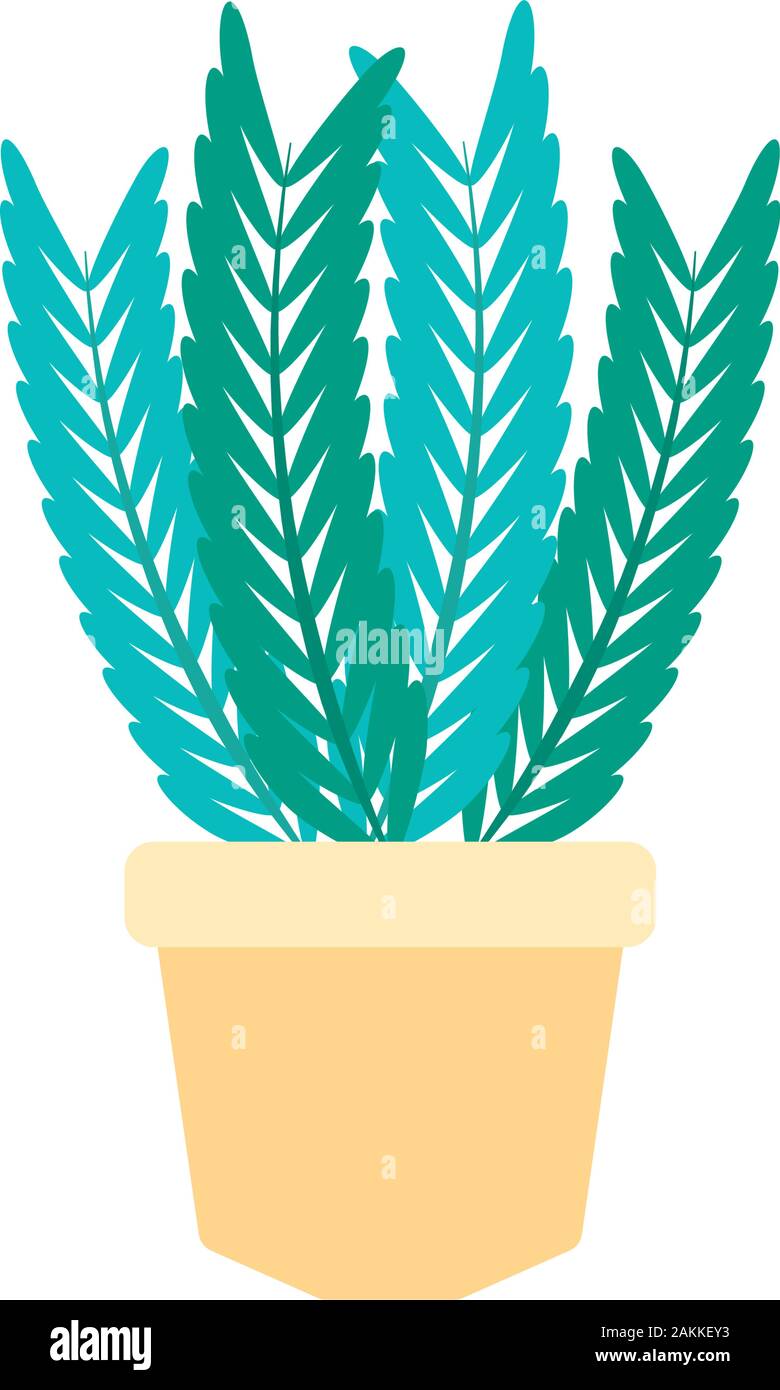 potted succulent nature plants flat icon vector illustration Stock ...