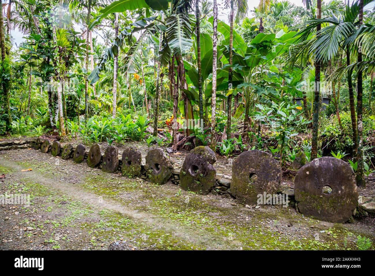 A bank of giant prehistoric megalithic stone money Rai. Disks of coins standing in a row, hidden overgrown in jungle. Yap island, Federated States of Stock Photo