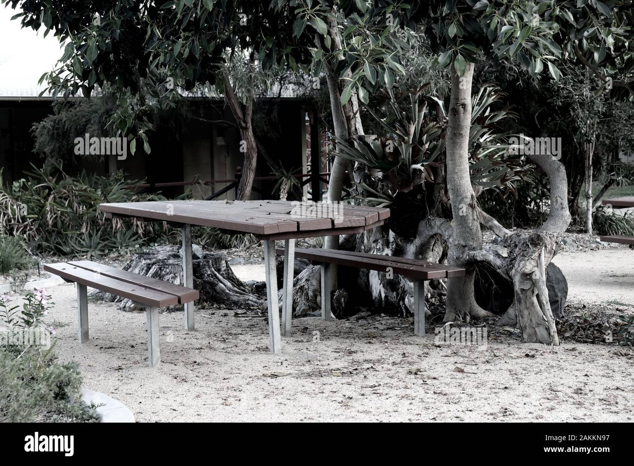 A tranquil picnic area with a table at a lovely park in the botanical