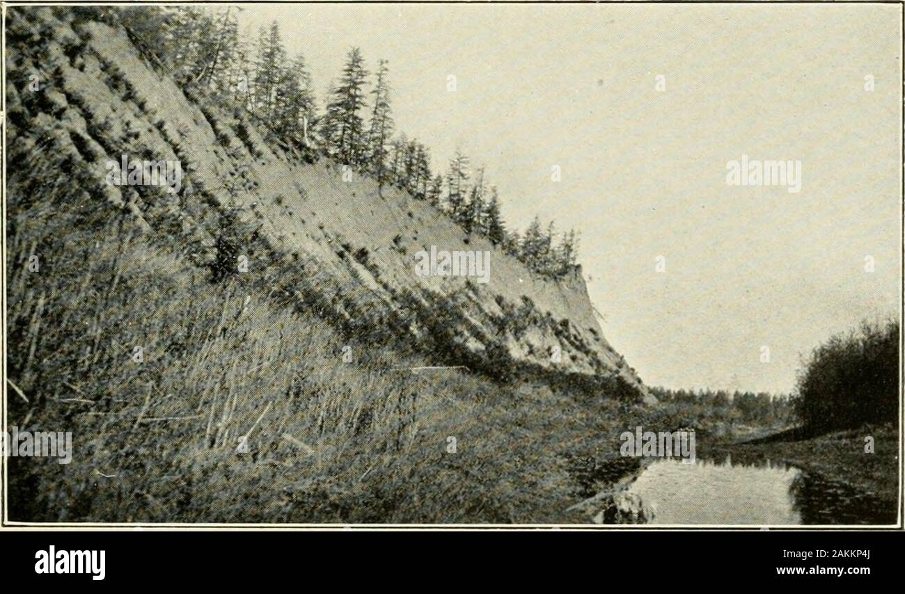 Expeditions organized or participated in by the Smithsonian Institution.. . Fig. 46.—Little Anyui River. Fourth elevated silt bank, showing camp.Up-river trip, September, 1914.. Fig. 47.—Little Anyui River. Sixth elevated silt bank, separated by sloughfrom Anyui proper. No fossils found. Down-river trip, September, 1914. taken to Nizhni Kolymsk on our return trip. This precaution proved to bequite necessary, as a thin crust of newly fallen snow covered the groundbefore we reached the settlement again. 36 SMITHSONIAN MISCELLANEOUS COLLECTIONS VOL. 66 The general aspect of these different elevat Stock Photo