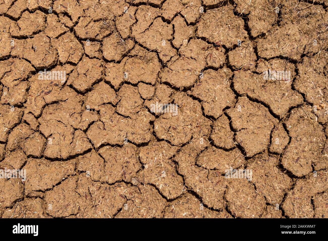 Texture of dry and dehydrated soil cracks Stock Photo Alamy