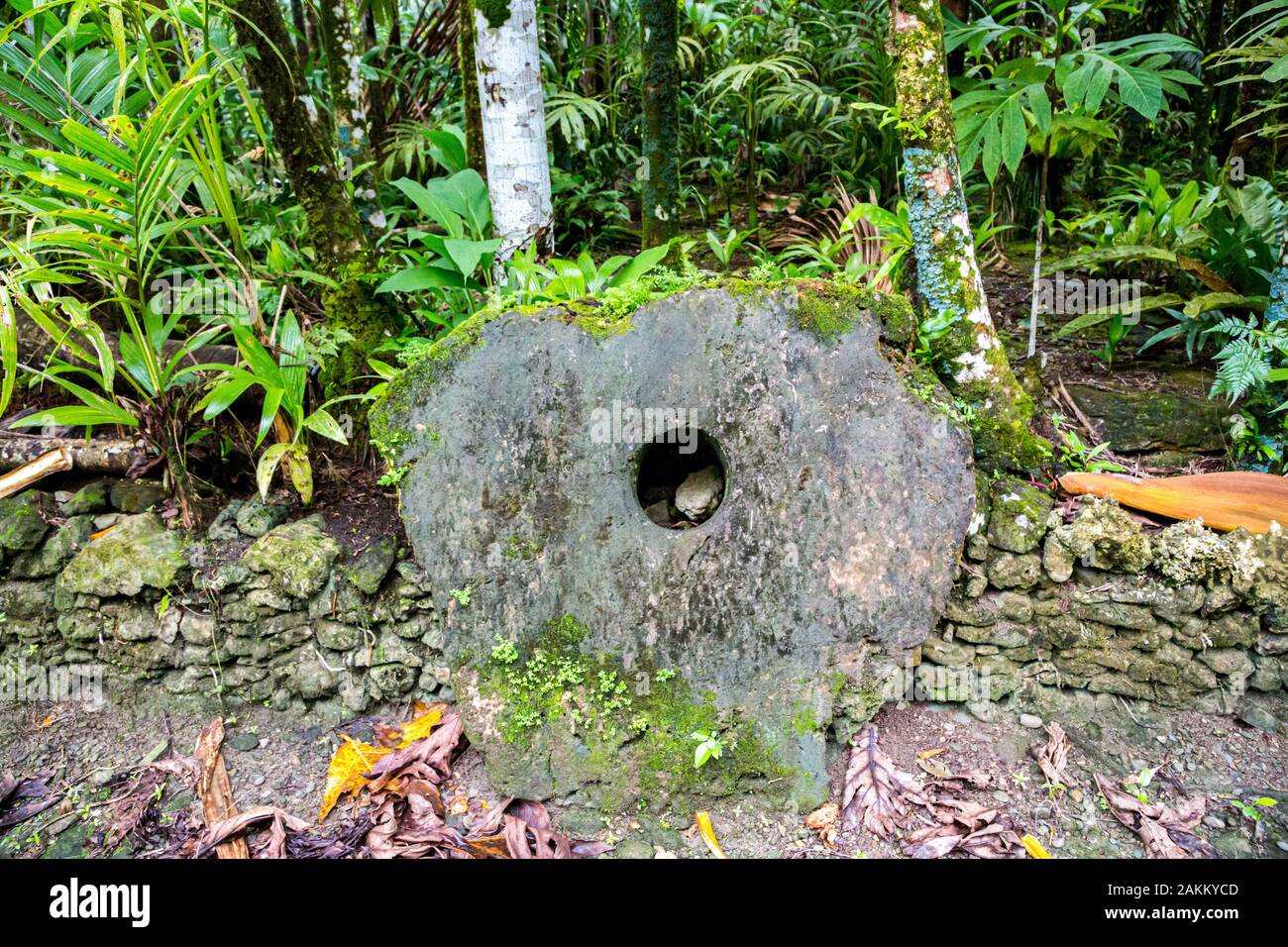 A giant prehistoric megalithic stone coin or money Rai, under trees overgrown in jungle. Yap island, Federated States of Micronesia, Oceania, South Pa Stock Photo